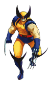 wolverine-marvelvscapcom-artwork-high-quality.png (718610 bytes)