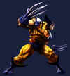 wolverine-mvc2-09.jpg (134123 bytes)