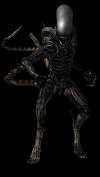 alien-isolation-render.png (1218913 bytes)