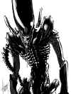 alien-xenomorph-artwork-by-falcoon2017.jpg (96945 bytes)