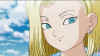 android18-survival-arc-face.jpg (178847 bytes)