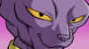 beerus-face.jpg (384922 bytes)