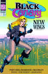 black-canary-dc-comic.jpg (95450 bytes)