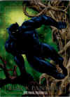 black-panther-1992-marvel-masterpieces.jpg (137639 bytes)