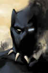 black-panther-face.jpg (154960 bytes)