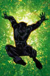 black-panther-green.jpg (454878 bytes)