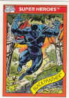 black-panther-old-school-marvel-card.jpg (42174 bytes)