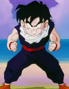 gohan-dbz2.png (357809 bytes)