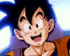 gohan-happy-face2.jpg (41822 bytes)