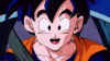 gohan-happy-face.jpg (80755 bytes)