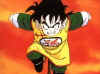 gohan-kid2.jpg (8969 bytes)