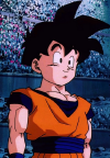 gohan-teen-dragonball.png (315402 bytes)