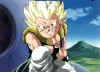 gotenks-smile.jpg (94251 bytes)