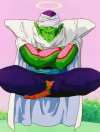 piccolo-meditate.png (396857 bytes)