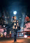 rachel-ninja-gaiden-poster.jpg (239542 bytes)