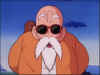 roshi-training-tips.JPG (65276 bytes)