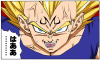 vegeta-majin.png (343820 bytes)