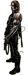 winter-soldier-marvel-white.jpg (105032 bytes)