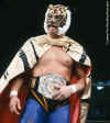 tigermask3.jpg (98750 bytes)
