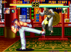 artoffighting-screen3.png (20783 bytes)