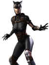 catwoman-injustice.jpg (76447 bytes)