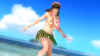 doa5-ultimate-hitomi-swimsuit.jpg (93416 bytes)