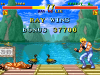 fightershistory-ray-vs-lee-screenshot.png (25165 bytes)