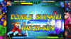 mvc-fighting-collection-2024-screenshot3.jpg (141148 bytes)