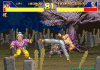 power-instinct-screenshot3.png (148742 bytes)