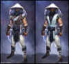 raiden-mkx-concept-art.jpg (526747 bytes)