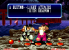 samuraishodown2-screenshot4.png (22424 bytes)