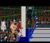 saturday-night-slam-masters-snes-screenshot3.png (22257 bytes)