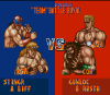 saturday-night-slam-masters-snes-screenshot4.png (18890 bytes)