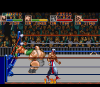 saturday-night-slam-masters-snes-screenshot5.png (20890 bytes)