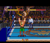 saturday-night-slam-masters-snes-screenshot.png (23382 bytes)