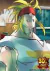 sfv-story-panel-alex.jpg (89977 bytes)