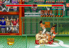 ssf2-s1.gif (46472 bytes)