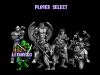 teenage-mutant-ninja-turtles-tournament-fighters-genesis-screenshot.png (15939 bytes)