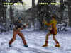 tekken-tag-tournament-ps2-screenshot15.jpg (183728 bytes)