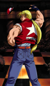 terrybogard-rbdm-panel.png (197953 bytes)