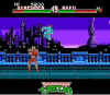 tmnt-tournament-fighters-nes-screenshot4.jpg (25588 bytes)