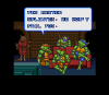 tmnt-tournament-fighters-snes-screenshot6.png (12036 bytes)