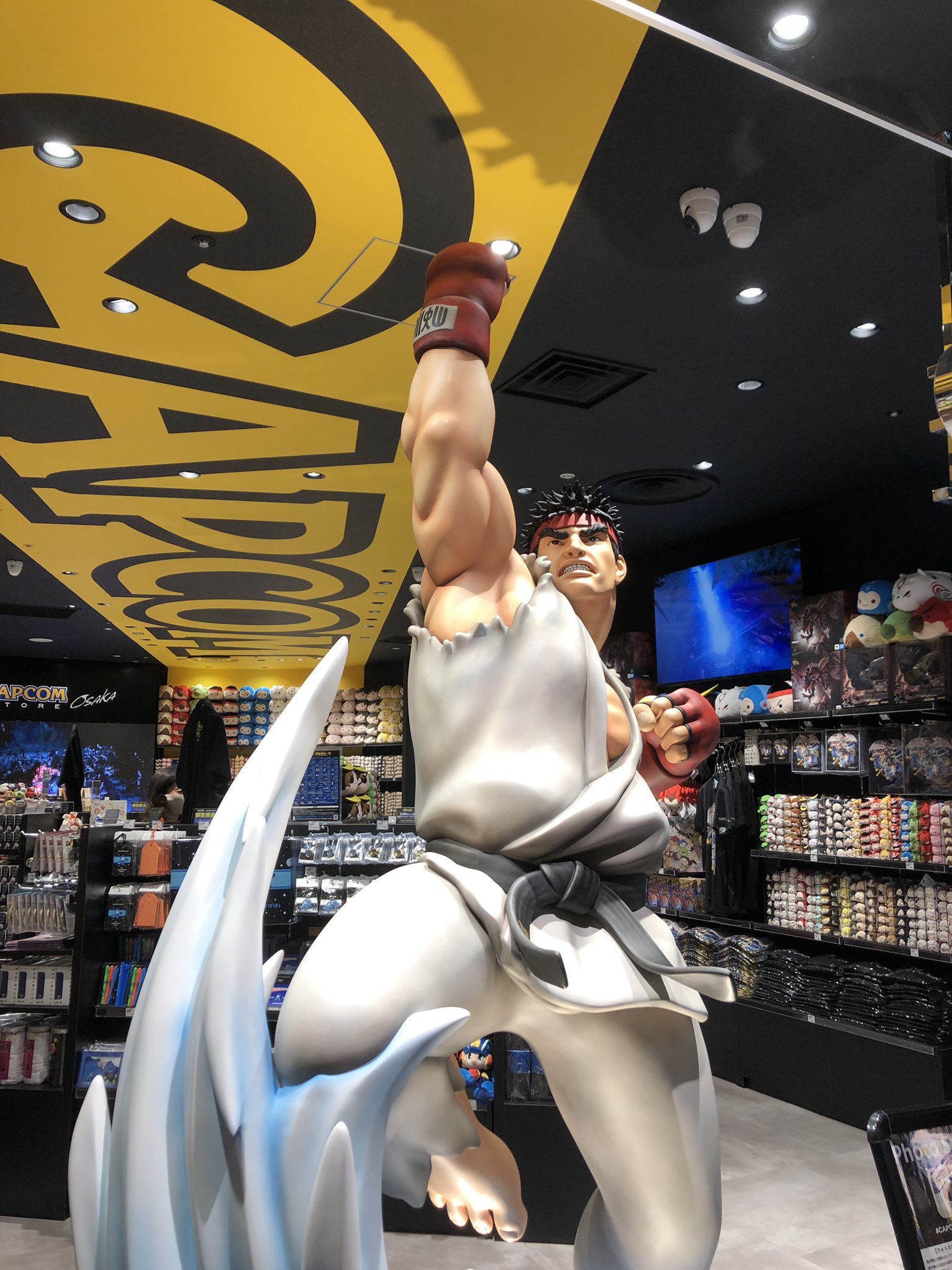 Ryu has an Exciting New Form Courtesy of Street Fighter Duel