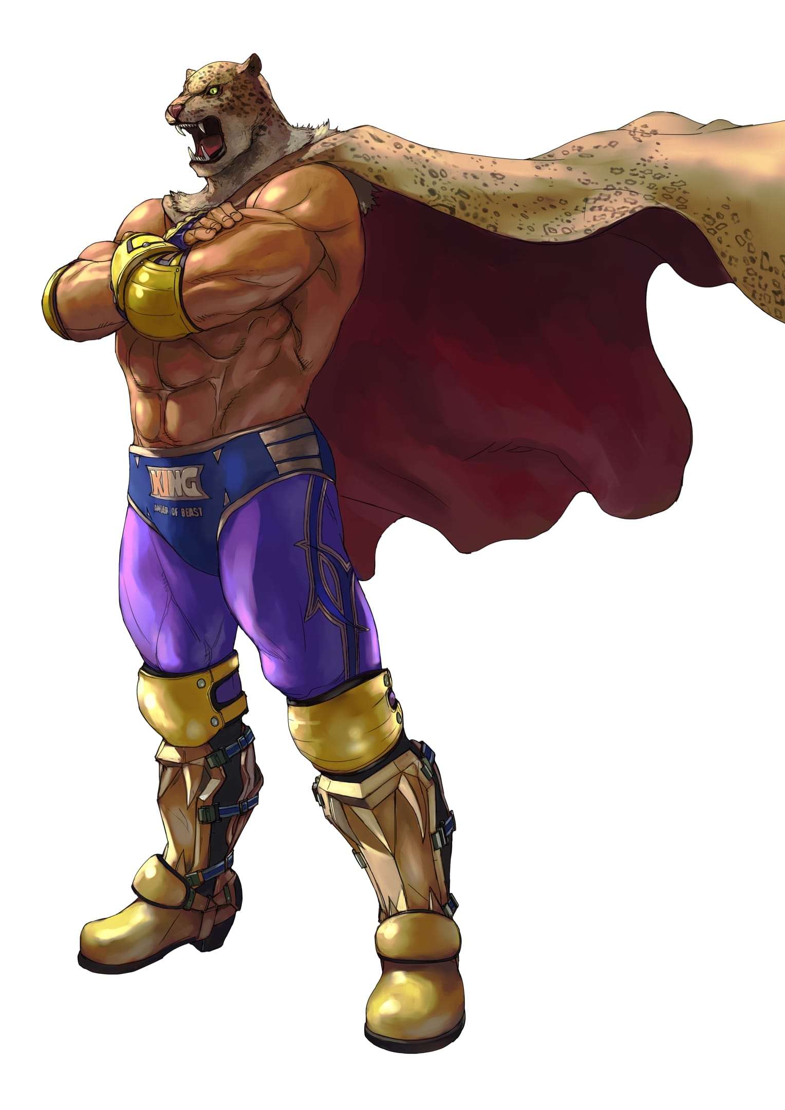 King, Tekken Wiki