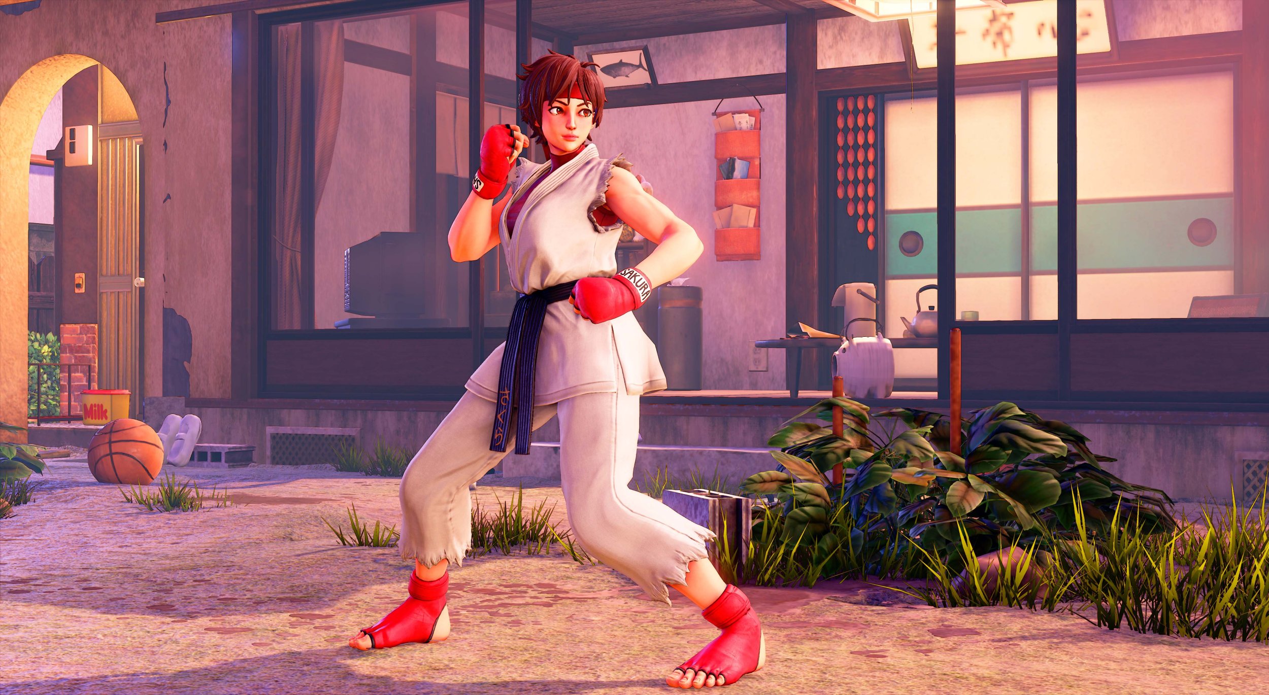 Street Fighter V To Get Returning Characters Sakura, Blanka, Cody