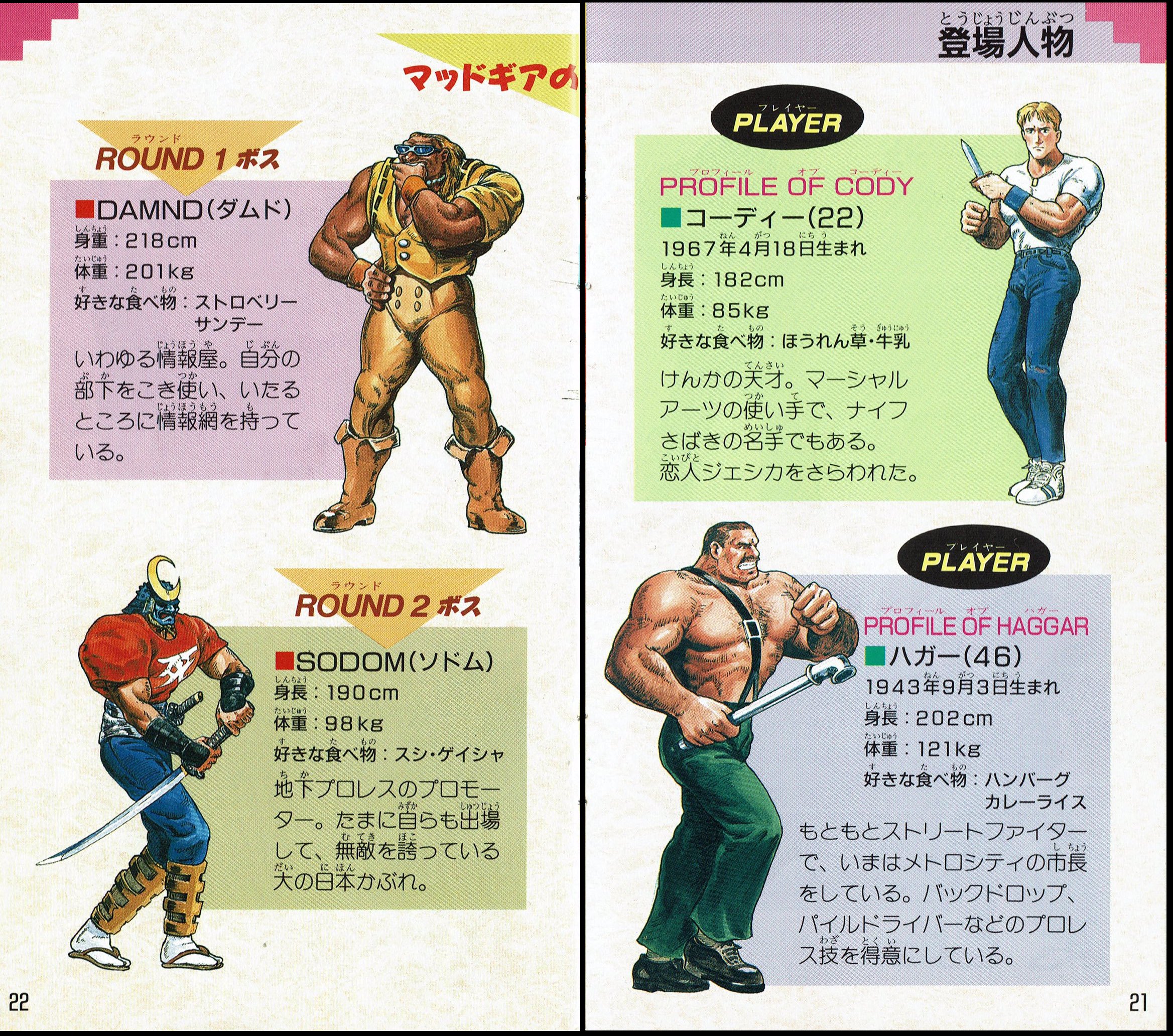 Final Fight Retrospective, Artwork, History / The Fighters Generation