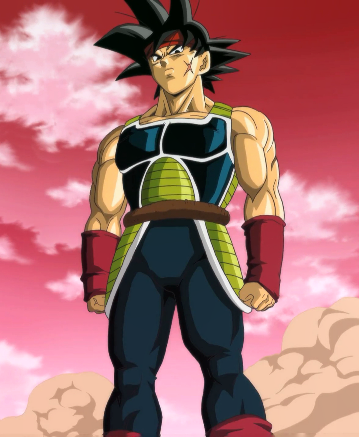 Bardock - Dragon Ball Z, Wiki