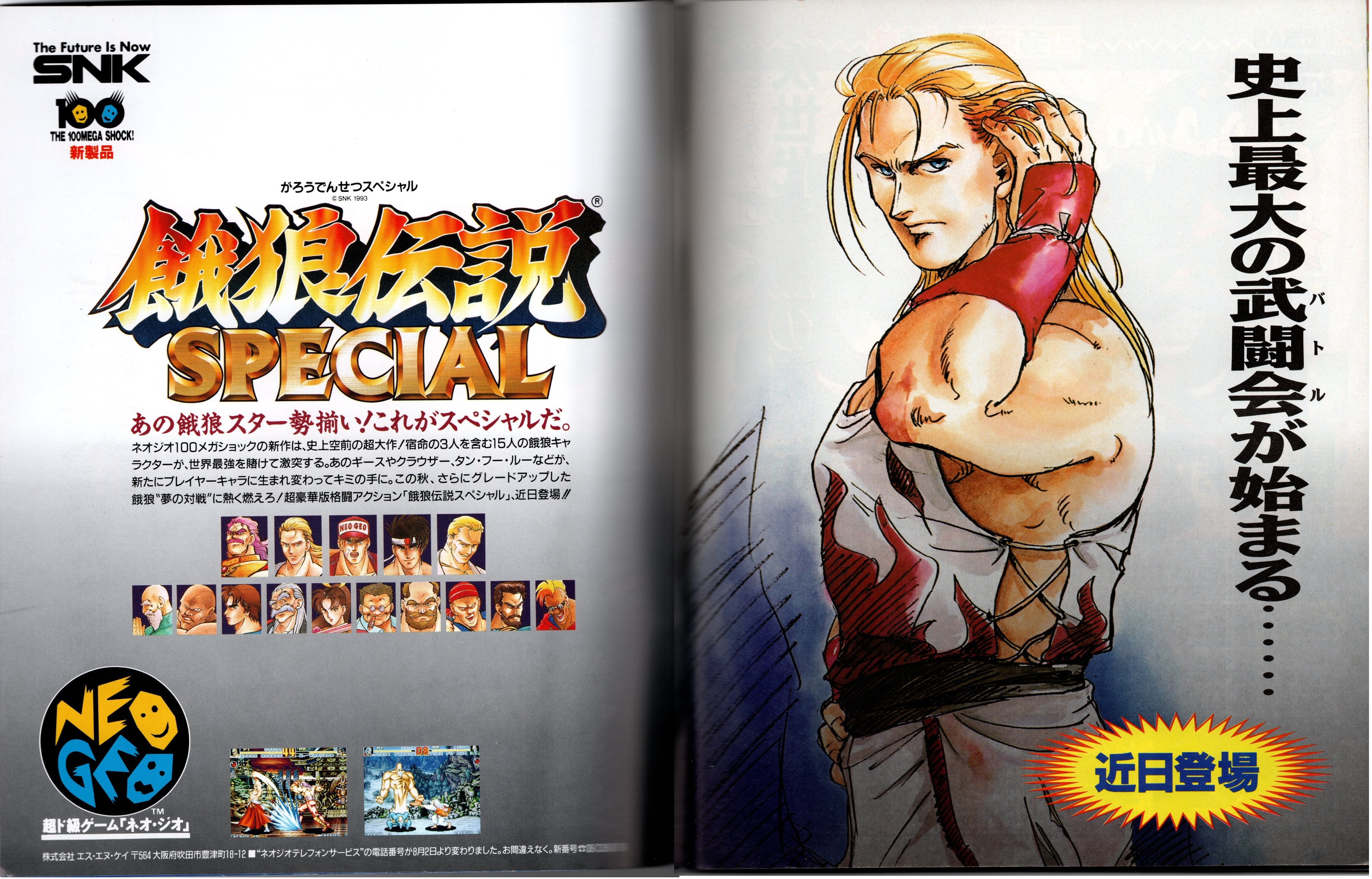 Fatal Fury (1991) - NeoGeo - TFG Review / Art Gallery