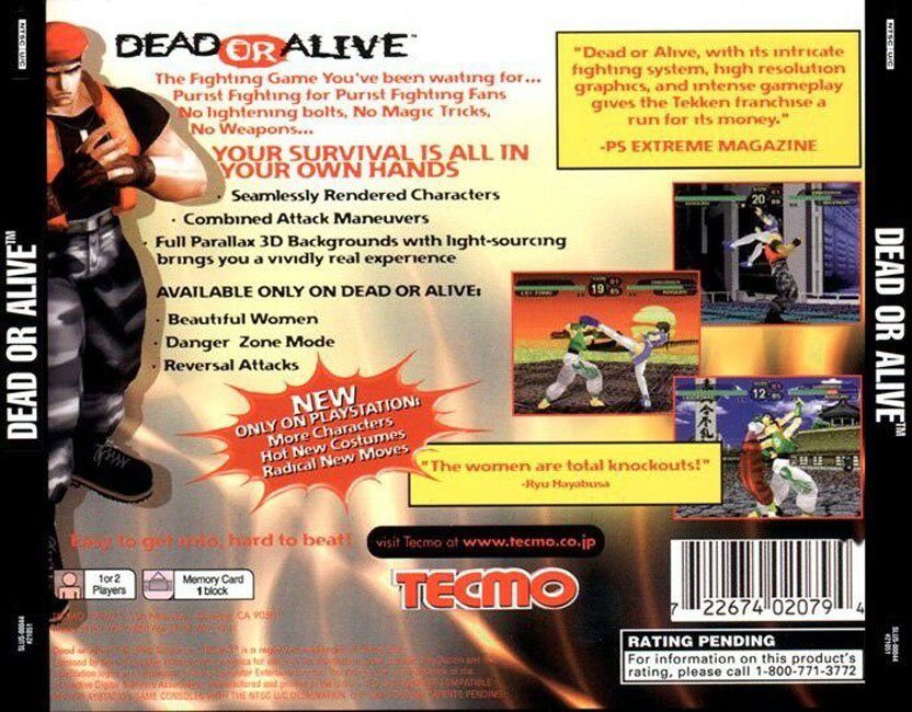 Dead or Alive - Arcade Flyers / Box Artwork