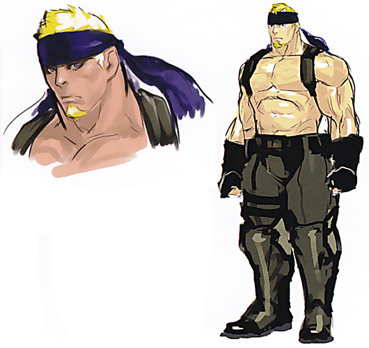 Street Fighter IV, Street Fighter Wiki